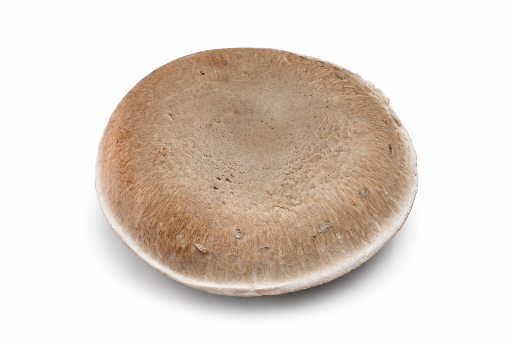 Portobello Mushrooms