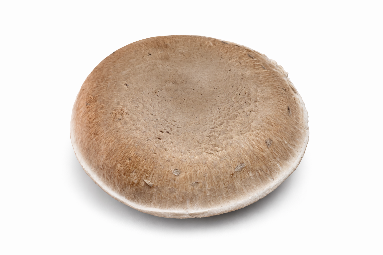 Portobello Mushrooms